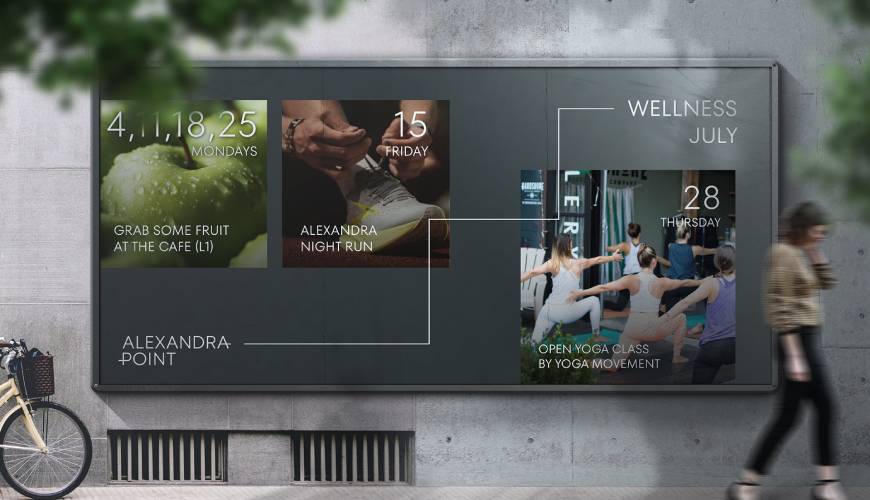 新邱区画册设计公司如何进行品牌审核